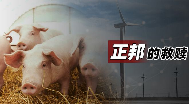 OKX创下年内新高，上扬幅高达23.22%，还能追吗？